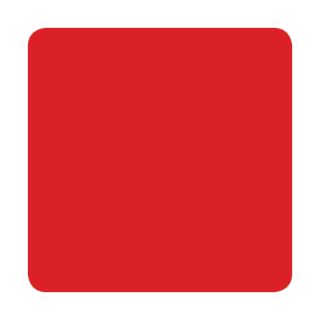 Salmon - Eternal Ink