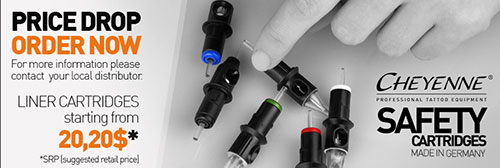 Cheyenne Hawk Needles