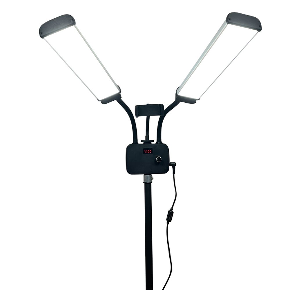 Dual Arm Light